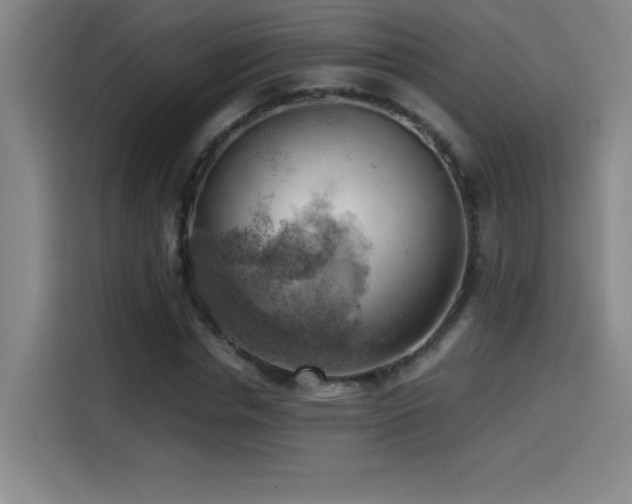 X0000114430826200910161333