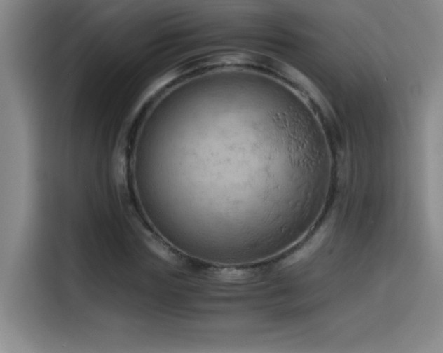 X0000114430827200910161333