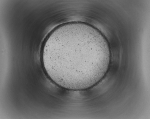 X0000114430828200910161333