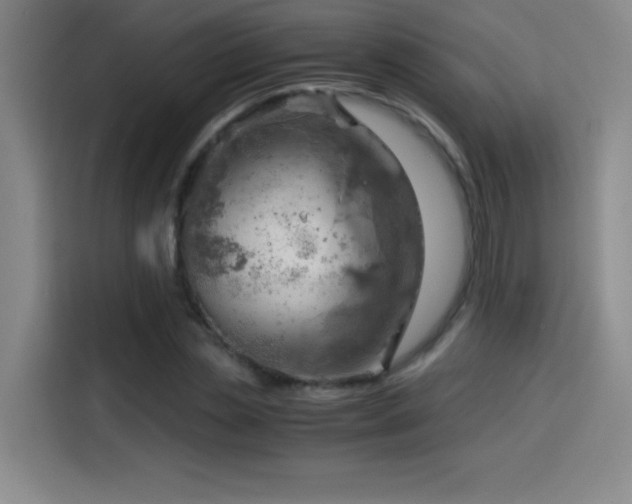 X0000114430829200910161333