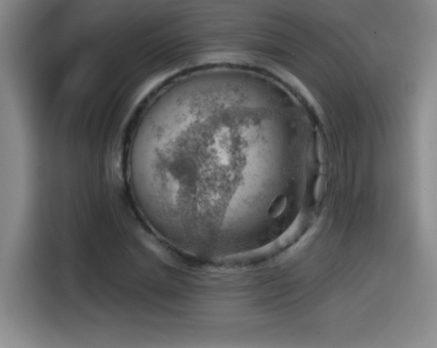 X0000114430830200910161333