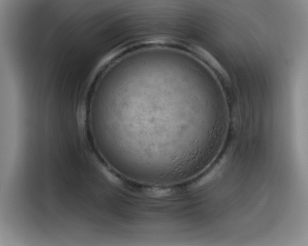 X0000114430831200910161333