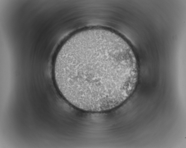X0000114430832200910161333