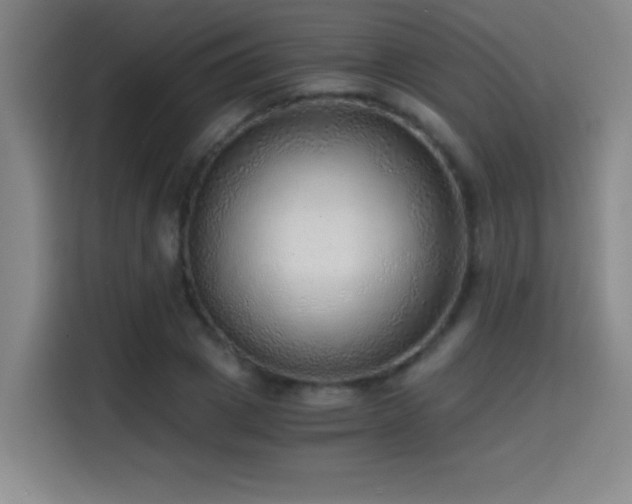 X0000114430833200910161333
