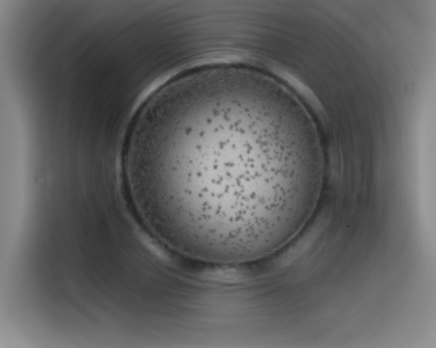 X0000114430834200910161333