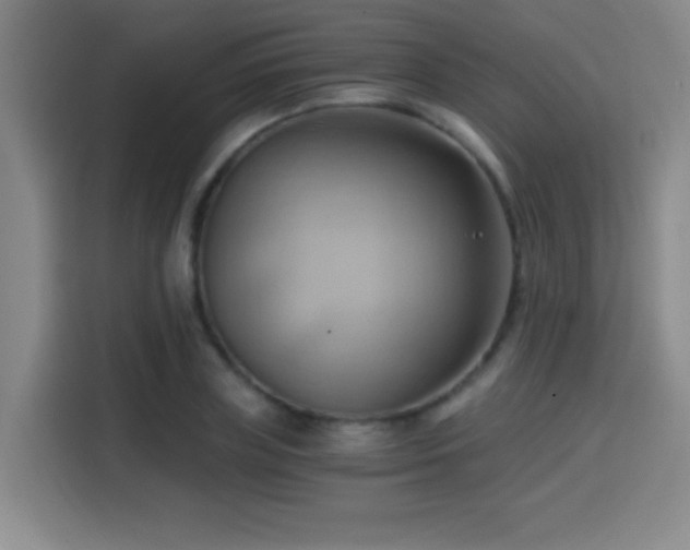 X0000114430835200910161333