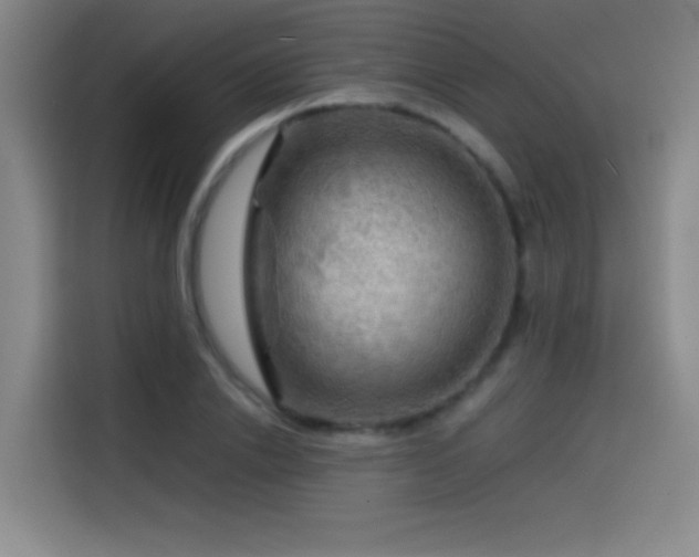 X0000114430838200910161333
