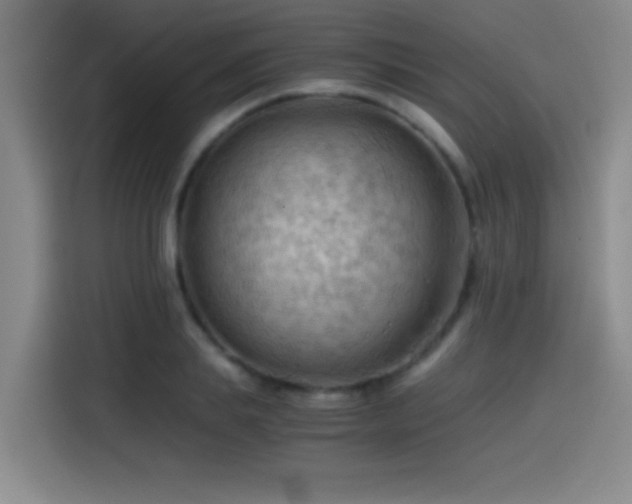 X0000114430839200910161333