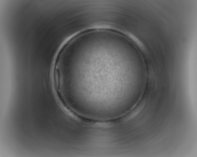 X0000114430840200910161333