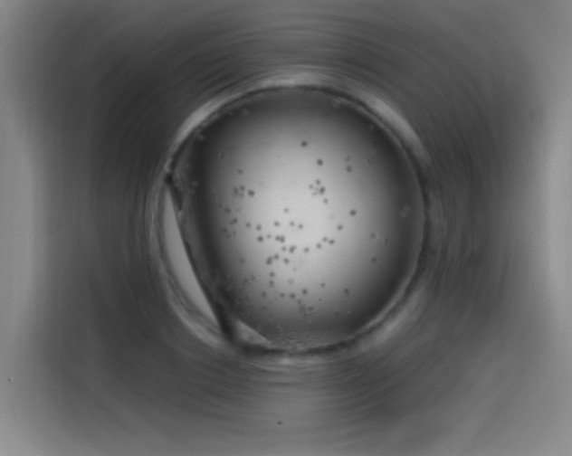 X0000114430842200910161333