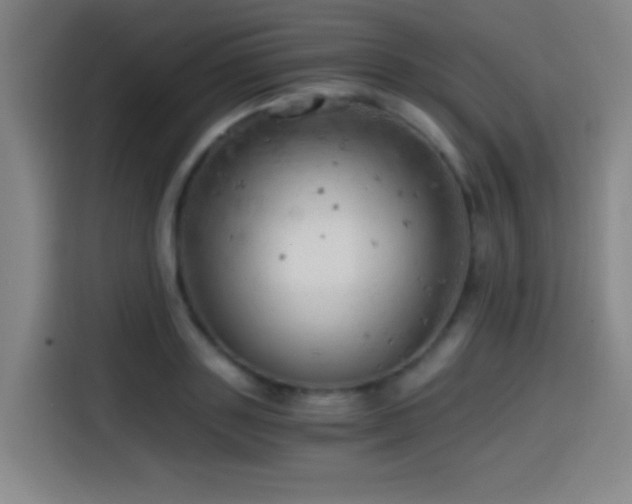 X0000114430843200910161333