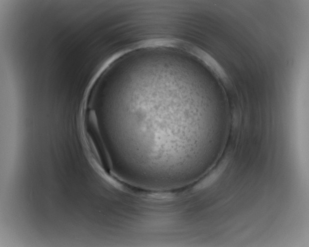 X0000114430844200910161333