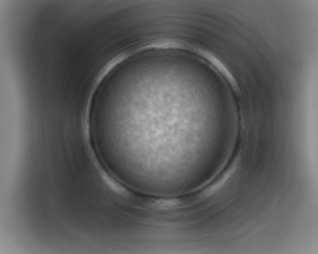X0000114430845200910161333
