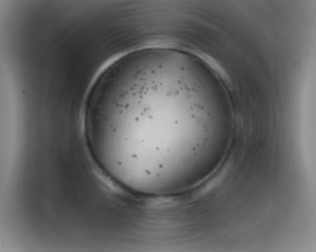 X0000114430846200910161333