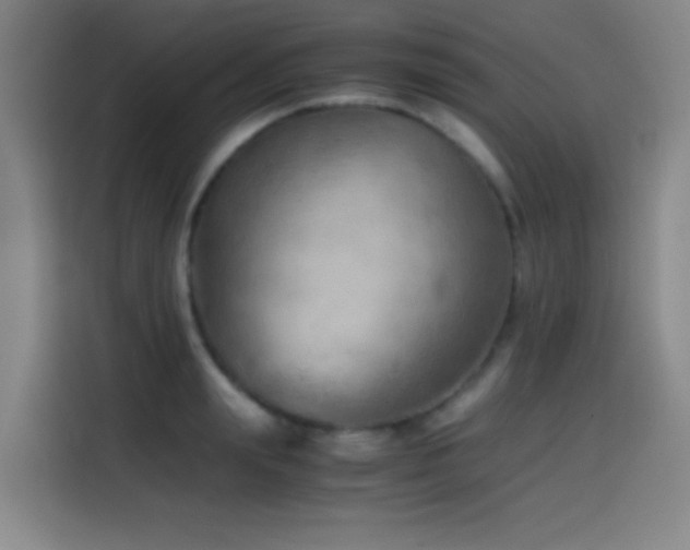 X0000114430847200910161333