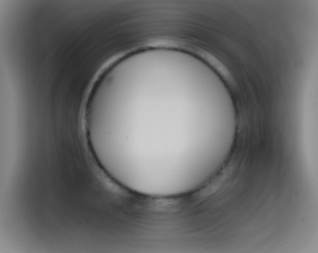 X0000114430848200910161333
