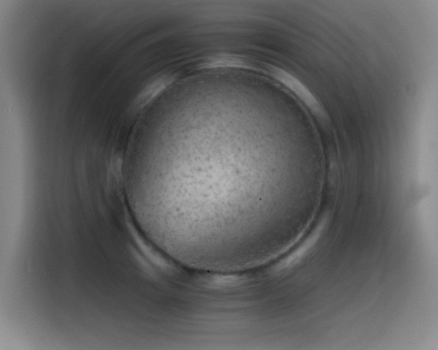 X0000114430849200910161333