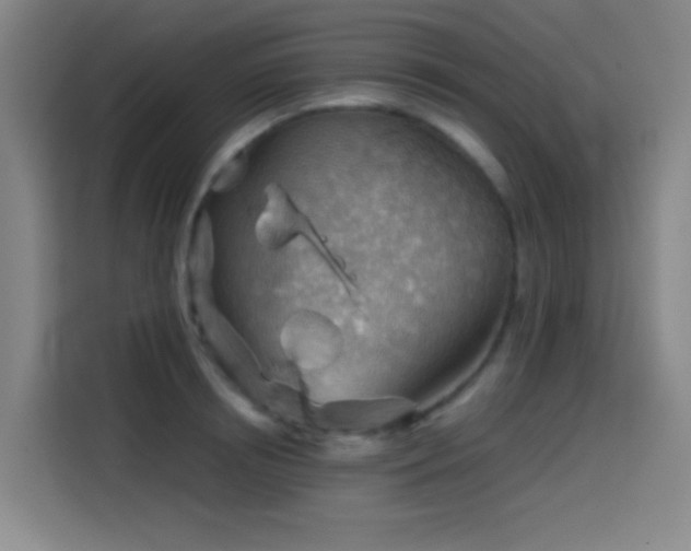X0000114430850200910161333