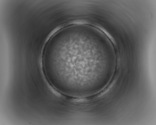 X0000114430853200910161334