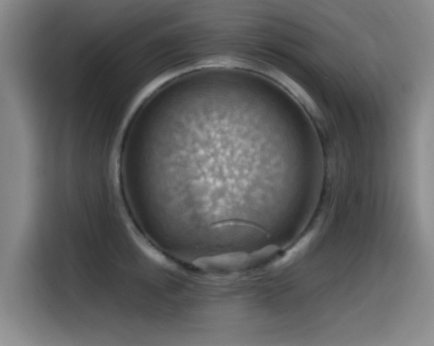 X0000114430854200910161334