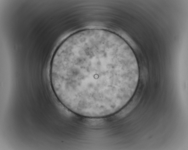 X0000114430856200910161334