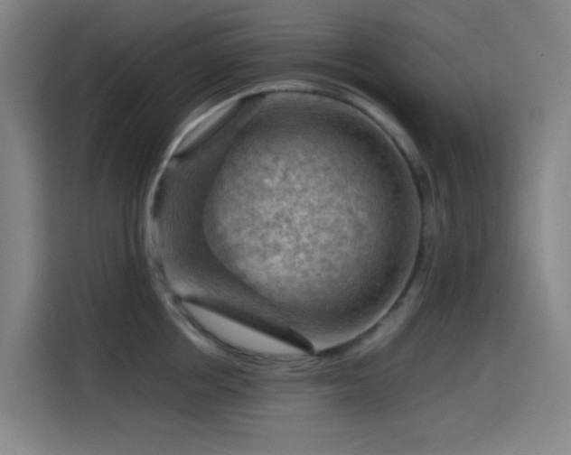 X0000114430858200910161334