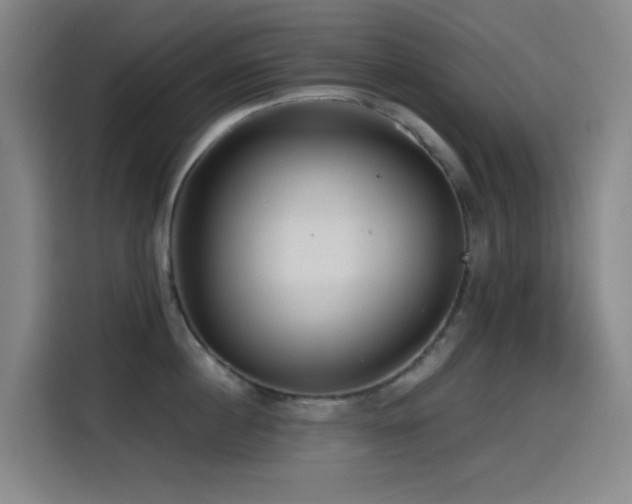 X0000114430860200910161334