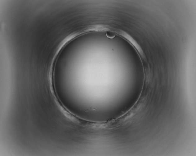 X0000114430861200910161334