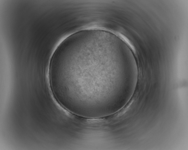 X0000114430863200910161334