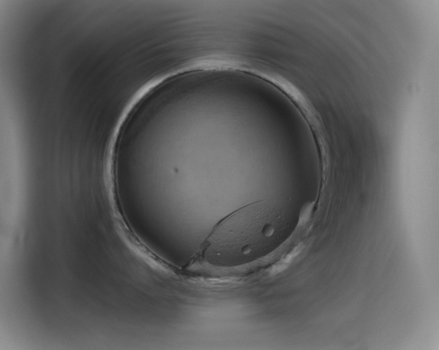 X0000114430864200910161334