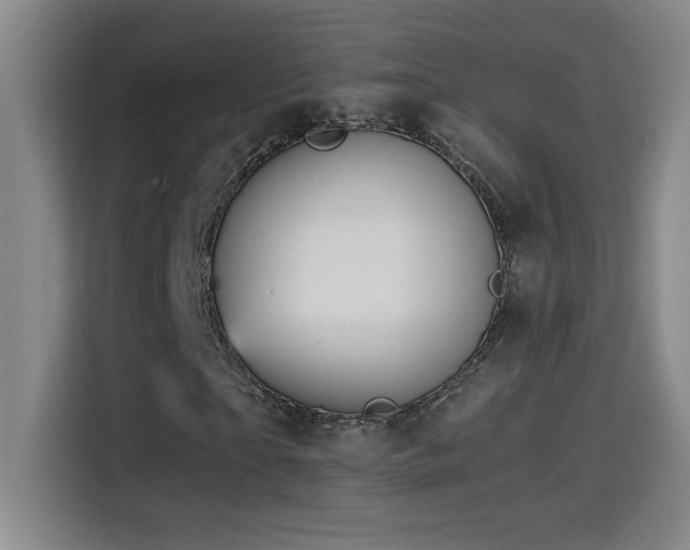X0000114430865200910161333