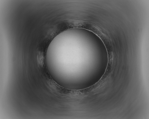 X0000114430866200910161333