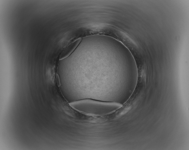 X0000114430868200910161333
