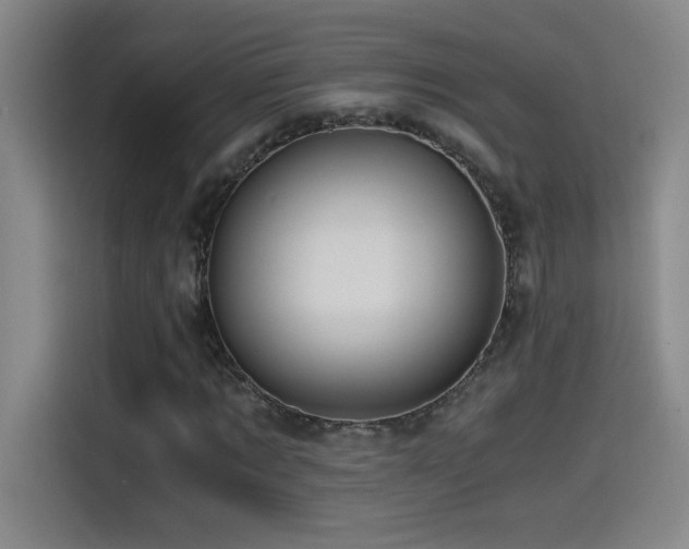 X0000114430869200910161333