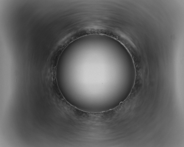 X0000114430870200910161333