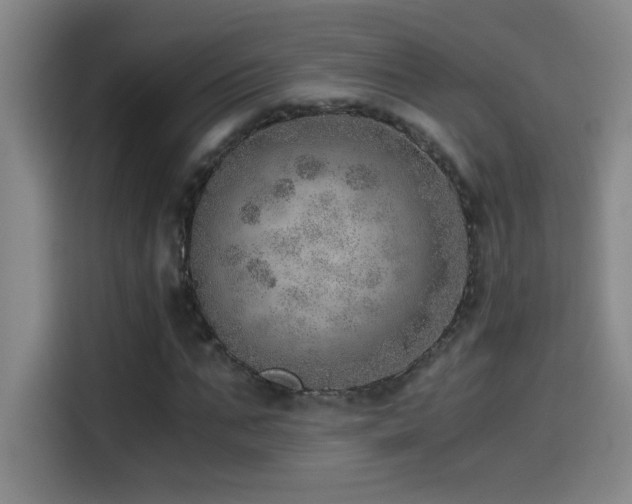 X0000114430871200910161333