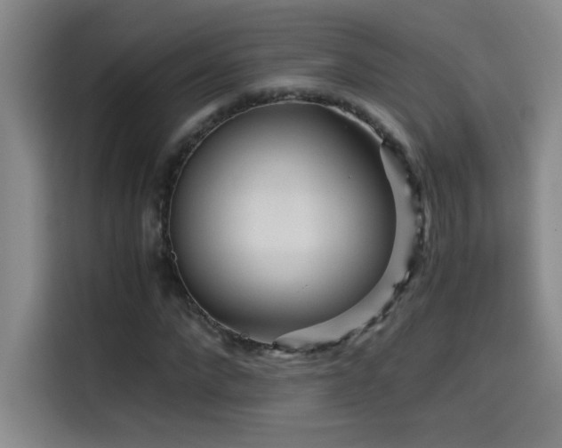 X0000114430872200910161333