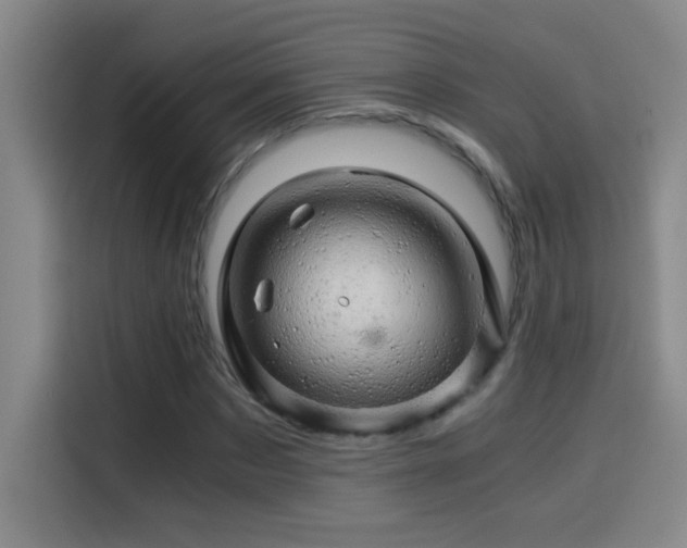 X0000114430873200910161333
