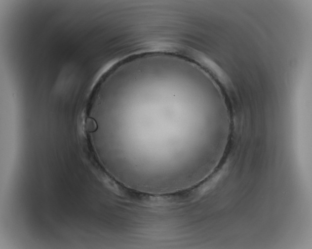 X0000114430875200910161333