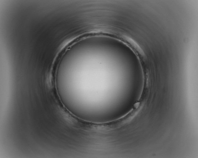 X0000114430876200910161333
