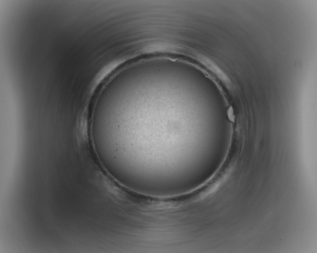 X0000114430877200910161333
