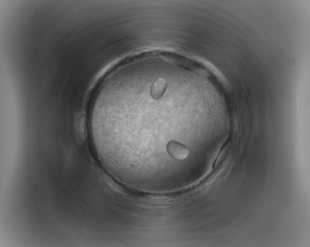 X0000114430878200910161333