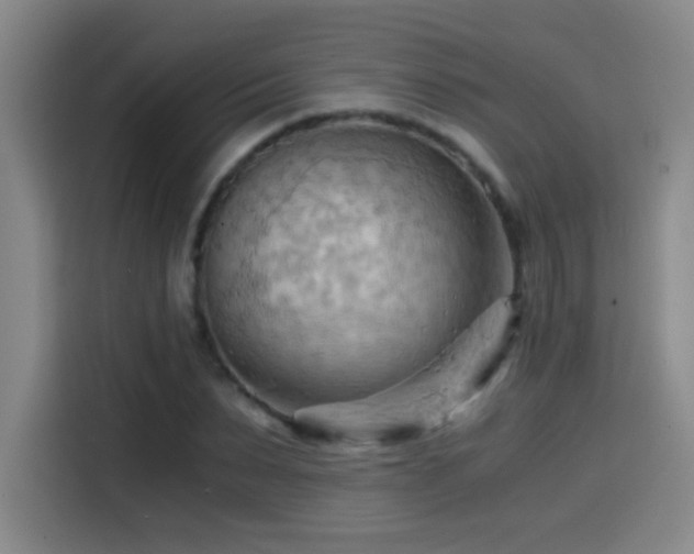 X0000114430879200910161333