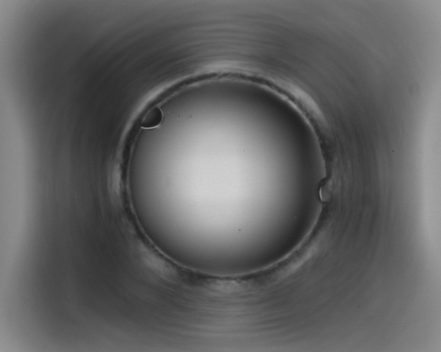 X0000114430880200910161333