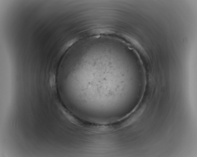 X0000114430881200910161333