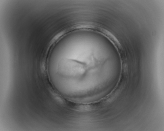 X0000114430882200910161333