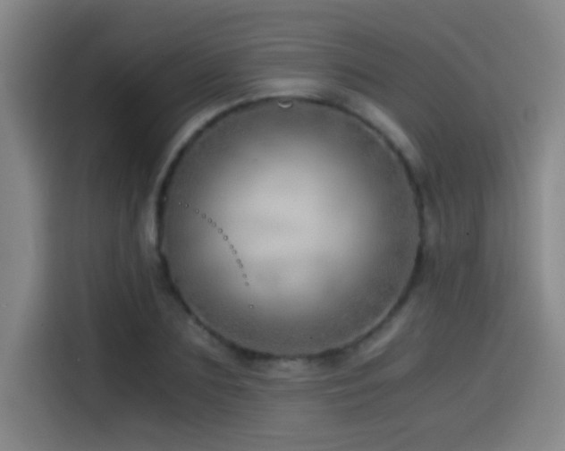 X0000114430883200910161333