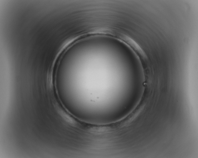 X0000114430884200910161333