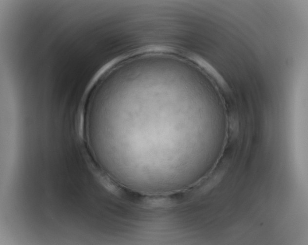 X0000114430886200910161333