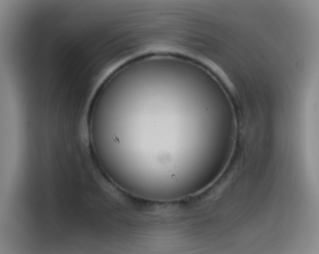 X0000114430887200910161333